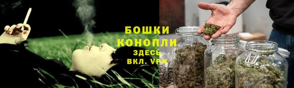 PSILOCYBIN Белокуриха